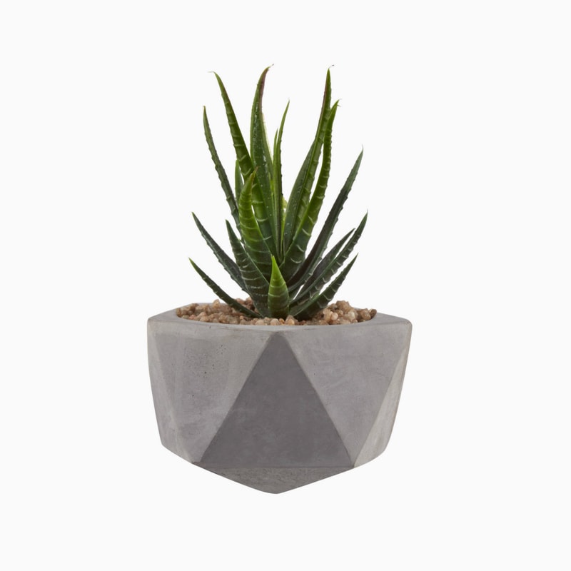 product-06 گلدان آپارتمانی دراسنا کامپکت - Image 1